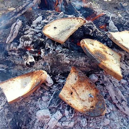 Assos Gunoven Camping