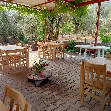 Assos Gunoven Camping Ayvacik (Canakkale)